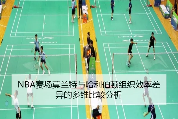 NBA赛场莫兰特与哈利伯顿组织效率差异的多维比较分析